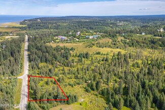 35206 Danver St, Anchor Point, AK 99556