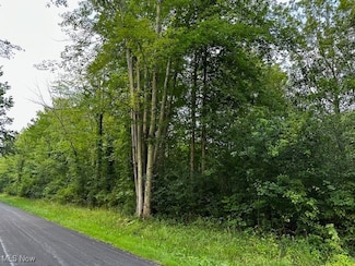 0 Highland Ave, Saybrook Township, OH 44004