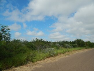 5415 Rio Ln, Zapata, TX 78076
