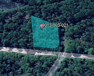 0 NE 234th Pl Rd Unit 20694482, Fort McCoy, FL 32134