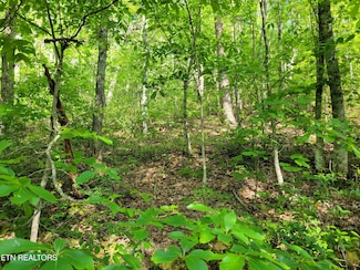 Lot 27 Black Oak Dr, Sevierville, TN 37876