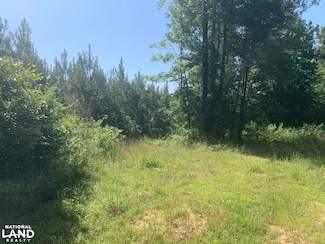 0 Hwy 549, Marion, LA 71260