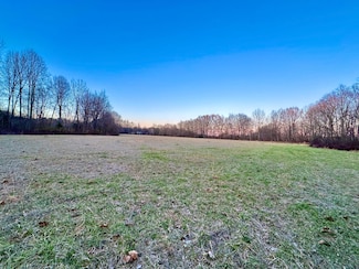 0 Tennessee 125, Toone, TN 38381