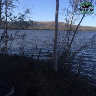 NHN Minto Lake, Minto, AK 99758