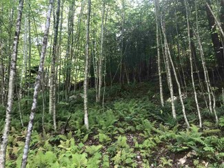 0 Hunter Brook Rd, Marlboro, VT 05344