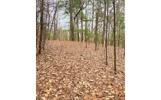 Lot 7 Brushy Top Dr, Chatsworth, GA 30705