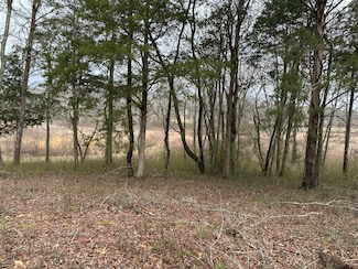 57 Captains Way, Jasper, TN 37347