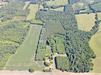 527 Lon Goff Rd, Mc Minnville, TN 37110