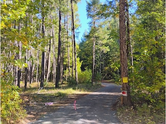 7001 Rockydale Rd, Cave Junction, OR 97523