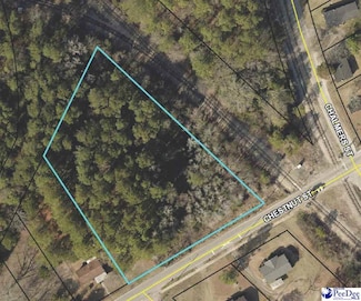 TBD Chestnut St, Darlington, SC 29532