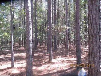 0000 Rural, Monticello, AR 71655