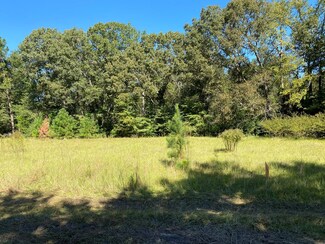 4111 Bath-Edie Rd, Blythe, GA 30805