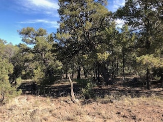 0 Pinon Dr, Tres Piedras, NM 87577