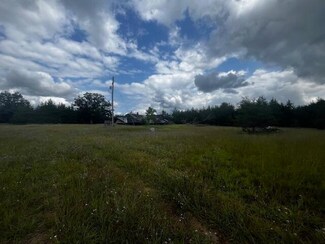 2096 E 56th St, Chase, MI 49623