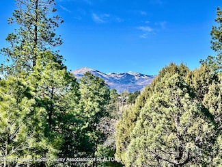 204 Timberline Ct, Ruidoso, NM 88345