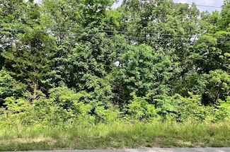 0 Saginaw Cir Unit 25031487, Cherokee Village, AR 72529