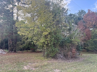 0 Silver Hickory Dr Unit 50047653, Coldspring, TX 77331