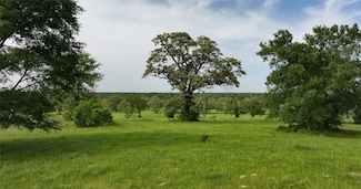 10149 Fm 1428, Midway, TX 75852