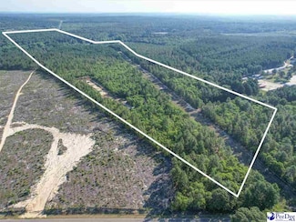 0 Peace Ln, Hartsville, SC 29550