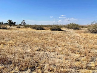 0 150th St E Unit HD25231562, Lake Los Angeles, CA 93535