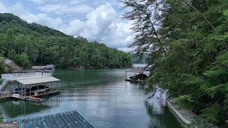 Lot 6&7 Browns Cove Rd Unit 6 & 7, Blue Ridge, GA 30513