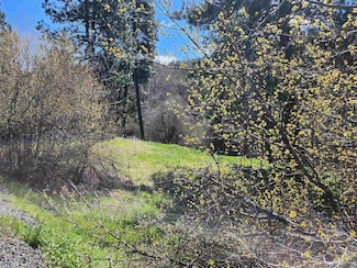 TBD Four Mile Rd, Viola, ID 83872