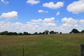 TBD Fm 149 Tract 9, Anderson, TX 77830