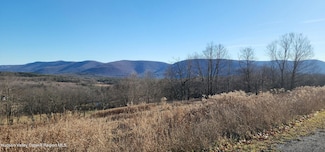 0 Bruce Cross Unit 20255843, Lexington, NY 12468