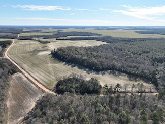 0 Watson Rd Unit LotWP001 22591913, Vienna, GA 31092