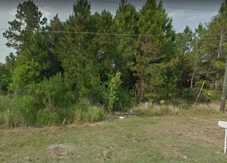 109 Spoonbill Ct, Poinciana, FL 34759