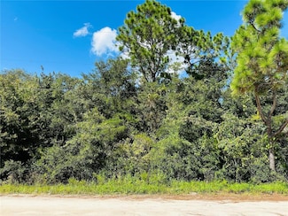 106 Sunland Dr, Satsuma, FL 32189