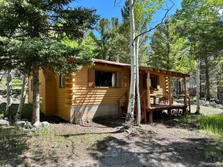 22560 County Road 292, Nathrop, CO 81236