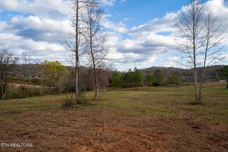 170 Dogtown Rd, Ten Mile, TN 37880