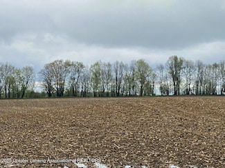 00 W Cutler Rd, Dewitt, MI 48820