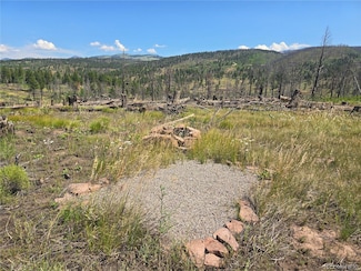 695 Cogbill Dr, Fort Garland, CO 81133