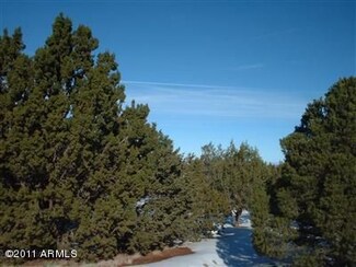 1695 W Wolf Ln Unit 2, Williams, AZ 86046