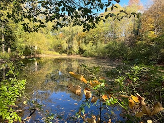 Lot 5 Wart Rd, Orwell, NY 13426