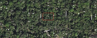 4029 S Gull Terrace, Inverness, FL 34450