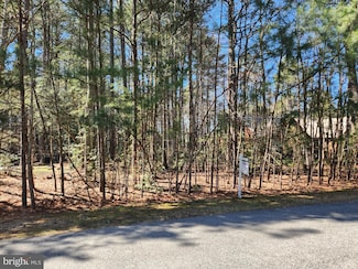 14875 Buckingham Ct, Swan Point, MD 20645
