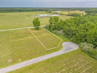 135 Sand Ridge Dr, Beulaville, NC 28518