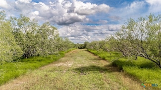 410 Robinhood Rd, Victoria, TX 77905