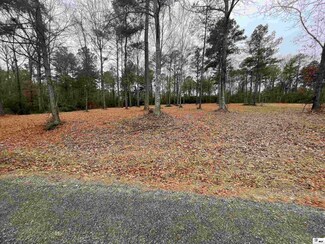 000 Haven Loop, Chatham, LA 71226