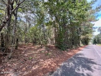 0 Chester Reeves Rd, McComb, MS 39648