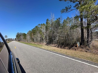 TBD Joyner Swamp Rd Unit Lot 3, Galivants Fry, SC 29544