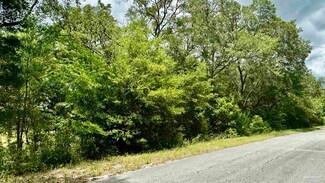 0 SW Shorewood Dr Unit 666361, Dunnellon, FL 34431