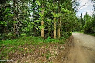 nna A St, Sandpoint, ID 83864