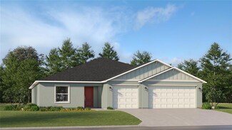 10206 Alder Green Dr, Riverview, FL 33578