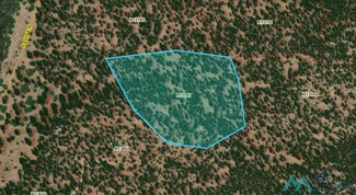 TBD Sassy Ln, Grants, NM 87020