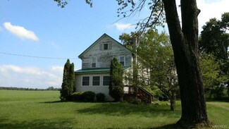 10320 Freeman Rd, Medina, NY 14103