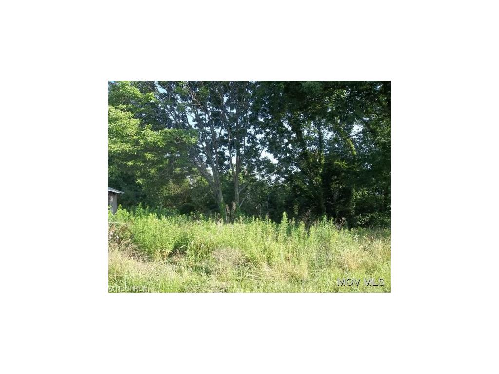 49A Rt 1, Palestine, WV 26160
